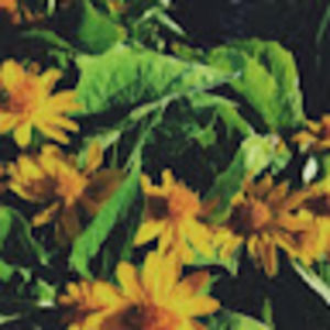 Meet your Posher, Riley_ford17